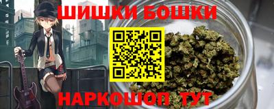 МДПВ Гатчина
