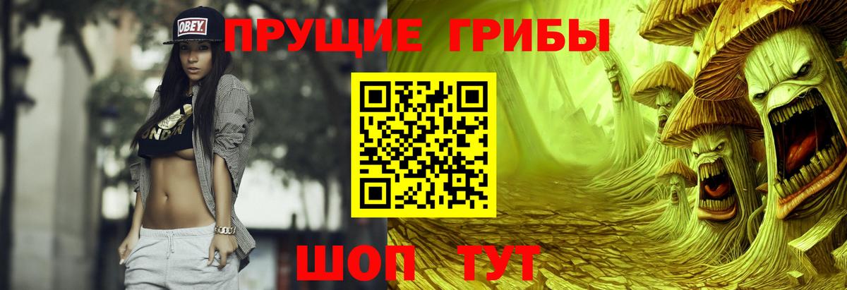Псилоцибиновые грибы мухоморы  купить   Гусиноозёрск  Вход с VPN 