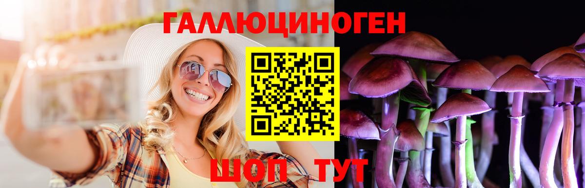 Псилоцибиновые грибы Magic Shrooms Гусиноозёрск